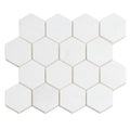 Sample - Snow White 10x12 Polished Hexagon Thassos Marble Mosaic Tile (5 pack, 4.46 sq ft/case)