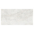 Sample - Frosted White 24x48 Polished Porcelain Large Format Tile (2 pack, 15.49 sq ft/case)