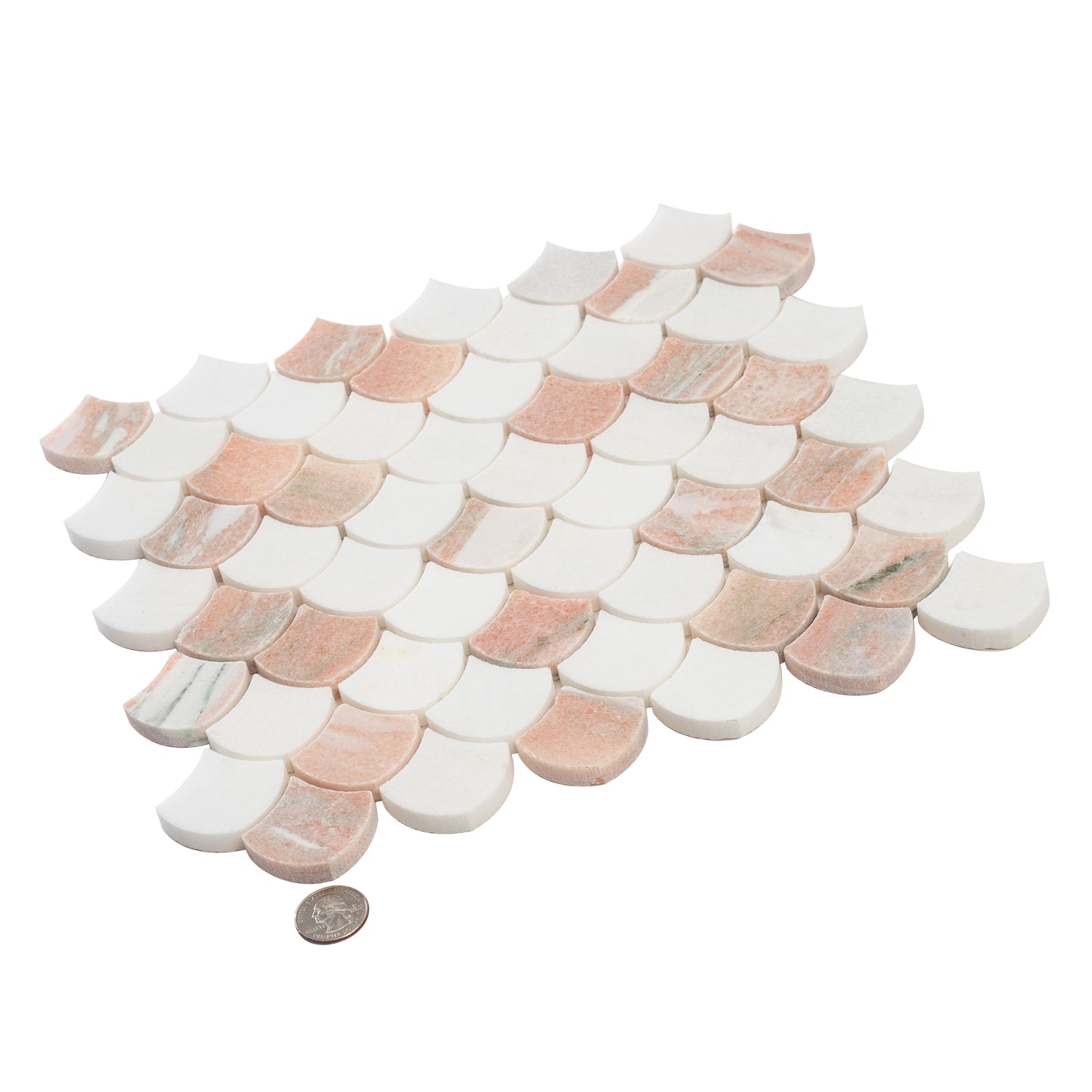 thassos norway rose 11x11 polished fan mosaic tile with white and pink hues
