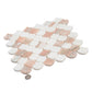 Sample - Thassos, Norway Rose 11x11 Polished Fan Mosaic Tile (4.2 sq ft/case, 5-Pack)