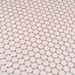 Nude Pink 12x12 Glossy Penny Round Porcelain Mosaic Tile (10 pack, 9.87 sq ft/case) - Sample