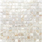 Shell White 12x12 Square Polished Shell Mother of Pearl Mosaic Tile (20 pack, 20 sq ft/case) - Sample