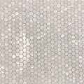 Sample - Chiffon White 12x12 Polished Hexagon Shell Mother of Pearl Mosaic Tile (20 pack, 18.69 sq ft/case)