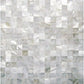 11x11 Shell White Natural Shell Mosaic Tile