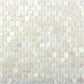 12x12 Shell White Penny Round Patterned Wall Tile