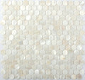 Sample - Shell White 12x12 Polished Penny Round Shell Mother of Pearl Mosaic Tile (20 pack, 18.69 sq ft/case)