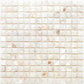 20 pack Shell White 12-in x 12-in Polished Natural Stone Uniform Squares Patterned Wall Tile (20 sq ft/case) - Sample
