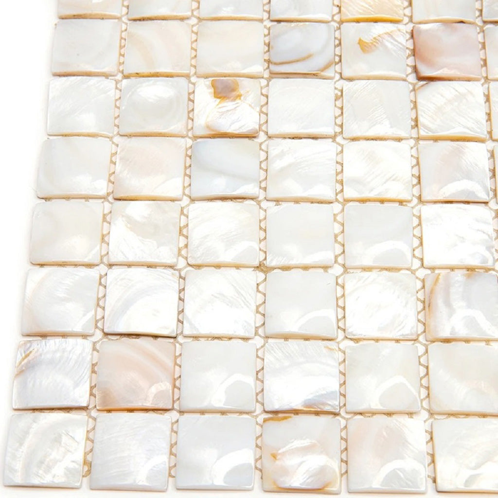 20 pack Shell White 12-in x 12-in Polished Natural Stone Uniform Squares Patterned Wall Tile (20 sq ft/case) - Sample
