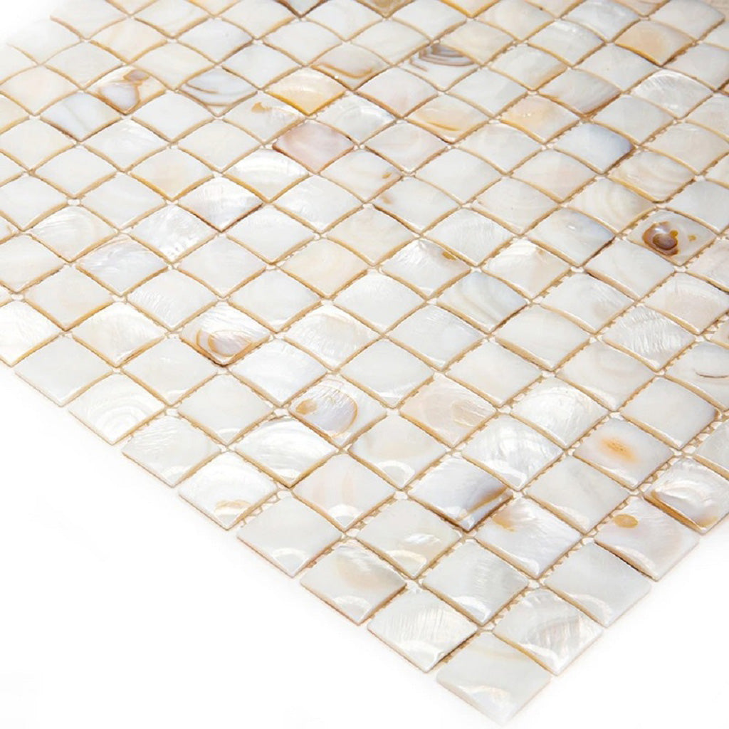 20 pack Shell White 12-in x 12-in Polished Natural Stone Uniform Squares Patterned Wall Tile (20 sq ft/case) - Sample