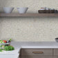 20 pack Shell White 12-in x 12-in Polished Natural Stone Uniform Squares Patterned Wall Tile (20 sq ft/case) - Sample
