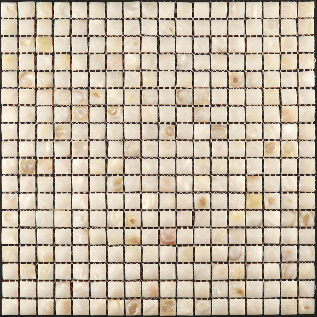 20 pack Shell White 12-in x 12-in Polished Natural Stone Uniform Squares Patterned Wall Tile (20 sq ft/case) - Sample