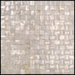 Shell White 12x12 Polished Brick Shell Mother of Pearl Mosaic Tile (20 pack, 19.34 sq ft/case) - Sample