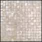 12x12 Shell White Pearl Polished Tile