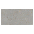 Sample - Warm Gray with Gold Flecks 24x48 Matte Square Porcelain Large Format Tile (2 pack, 15.49 sq ft/case)
