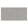 Sample - Warm Gray with Gold Flecks 24x48 Polished Square Porcelain Large Format Tile (2 pack, 15.49 sq ft/case)