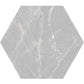 Light Gray Hexagonal Porcelain Tile