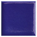 Sample - Royal Blue 2x2 Glossy Square Porcelain Tile (50 pack, 0.86 sq ft/case)
