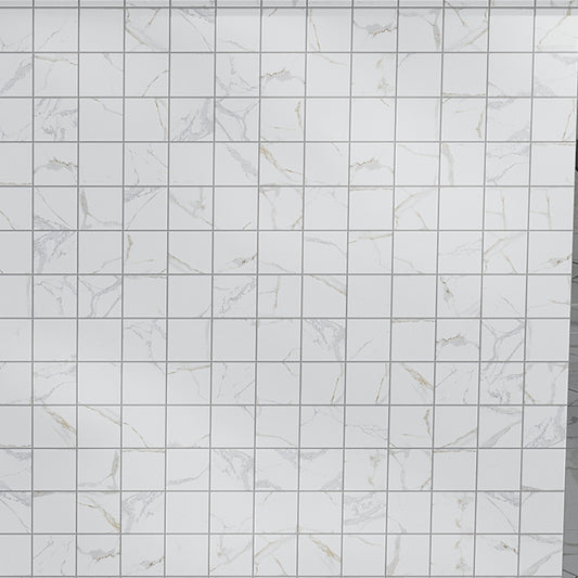 white matte 2x2 porcelain mosaic tile sheet with subtle veining and uniform square pattern