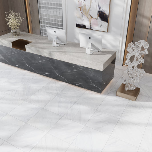 White 24x24 Matte Color Body Porcelain Large Tile (15.5 sq ft/case, 4-Pack)