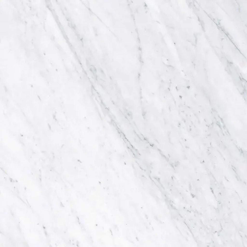 Sample - White 24x24 Matte Color Body Porcelain Large Tile (15.5 sq ft/case, 4-Pack)