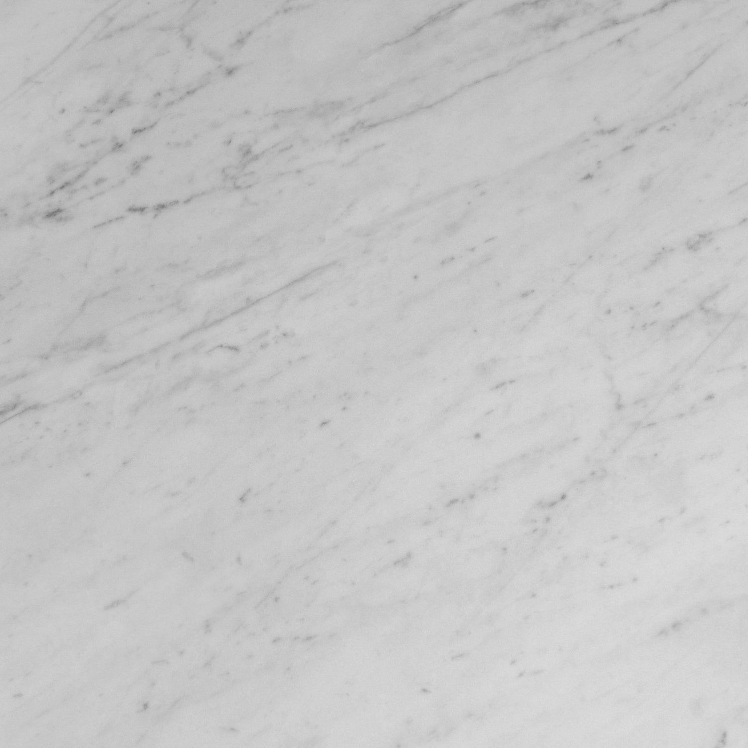 White 24x48 Matte Porcelain Large Tile (15.5 sq ft/case, 2-Pack)