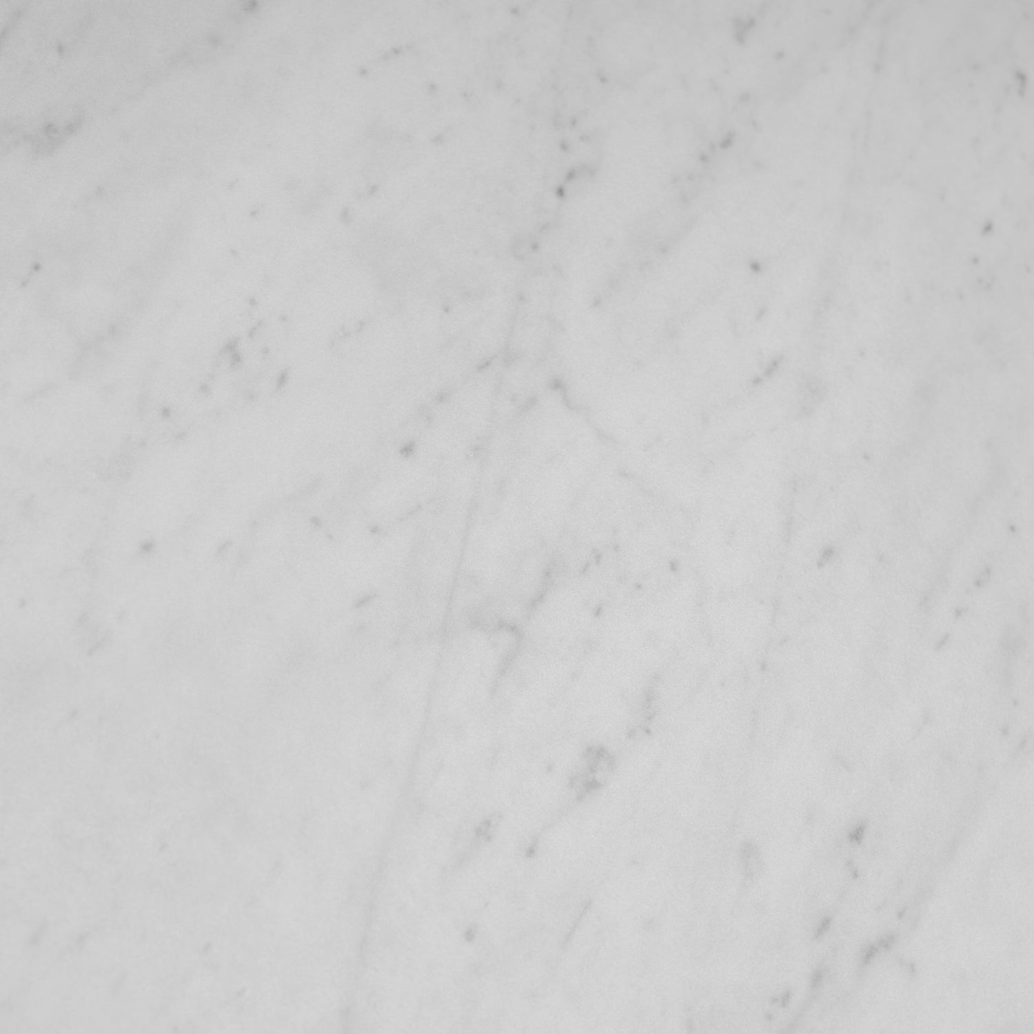 White 24x48 Matte Porcelain Large Tile (15.5 sq ft/case, 2-Pack)