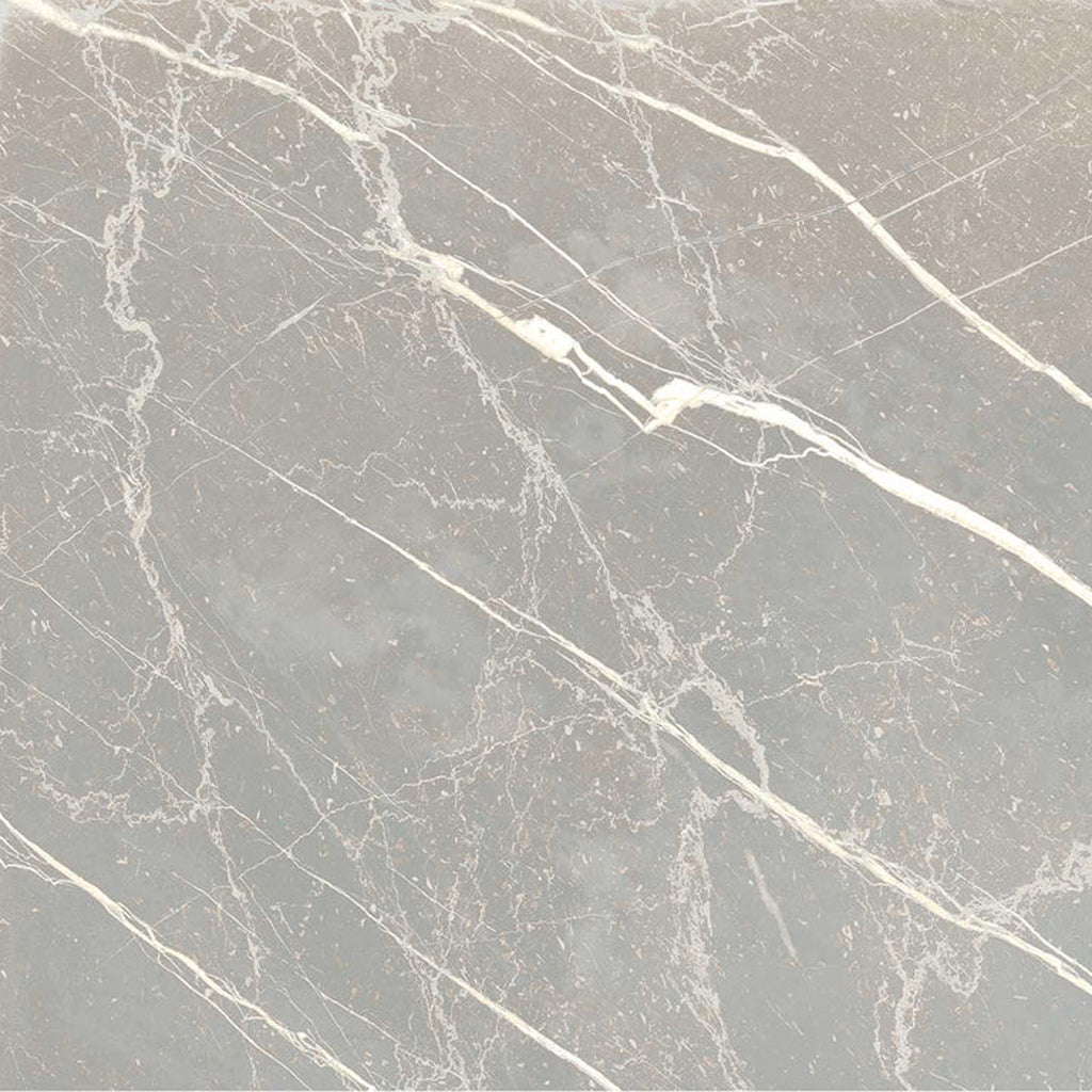 Regalia 12x12 Ash Gray Porcelain Veining Wall and Floor Tile (14 Pack, 13.56 sq ft/case) - Sample