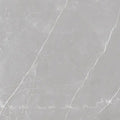 Sample - Ash Gray 24x24 Matte Color Body Porcelain Large Tile (15.5 sq ft/case, 4-Pack)