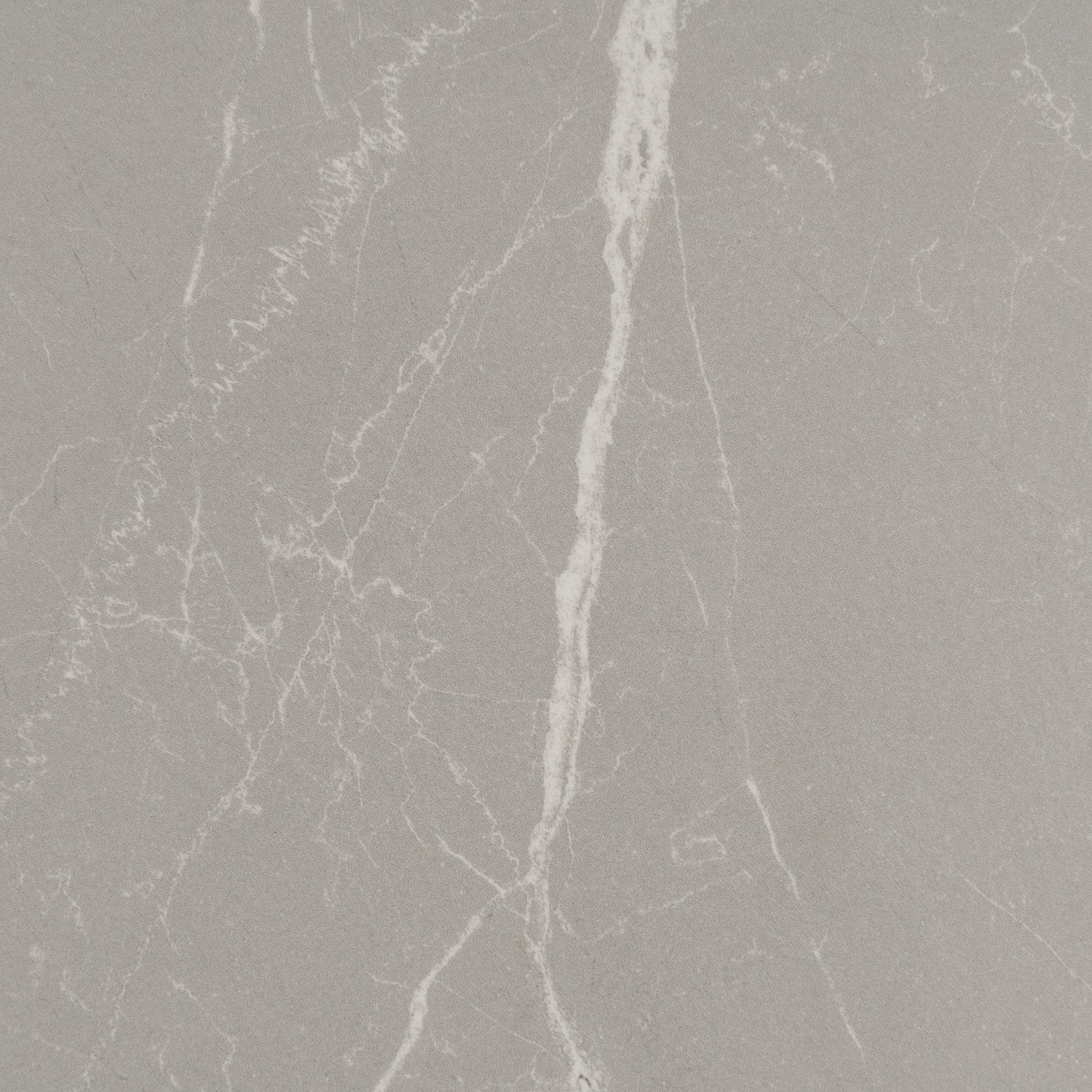 Ash Gray 24x48 Matte Porcelain Large Tile (15.5 sq ft/case, 2-Pack)