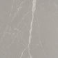 Sample - Ash Gray 24x48 Matte Porcelain Large Tile (15.5 sq ft/case, 2-Pack)