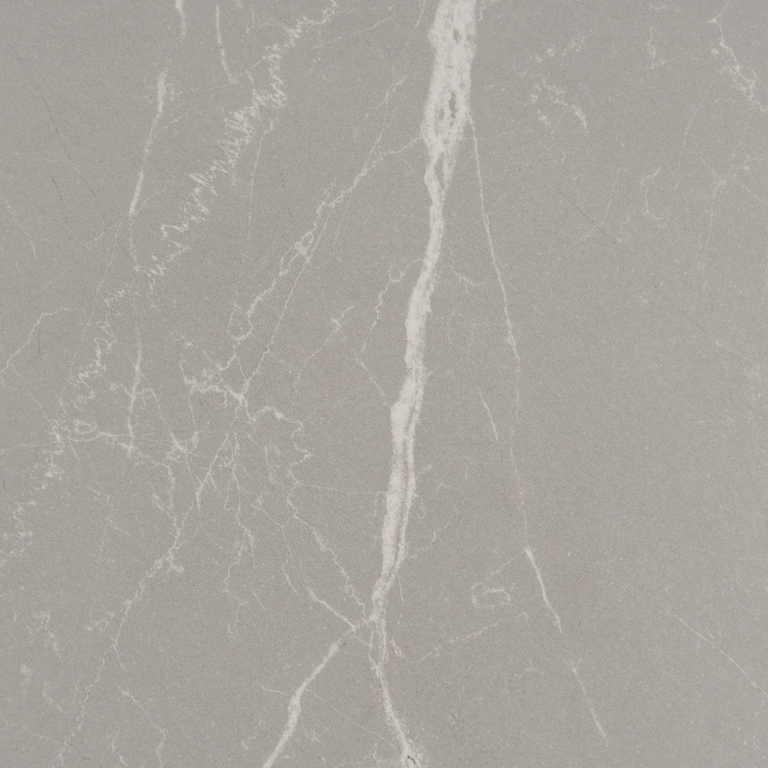 Sample - Ash Gray 24x48 Matte Porcelain Large Tile (15.5 sq ft/case, 2-Pack)