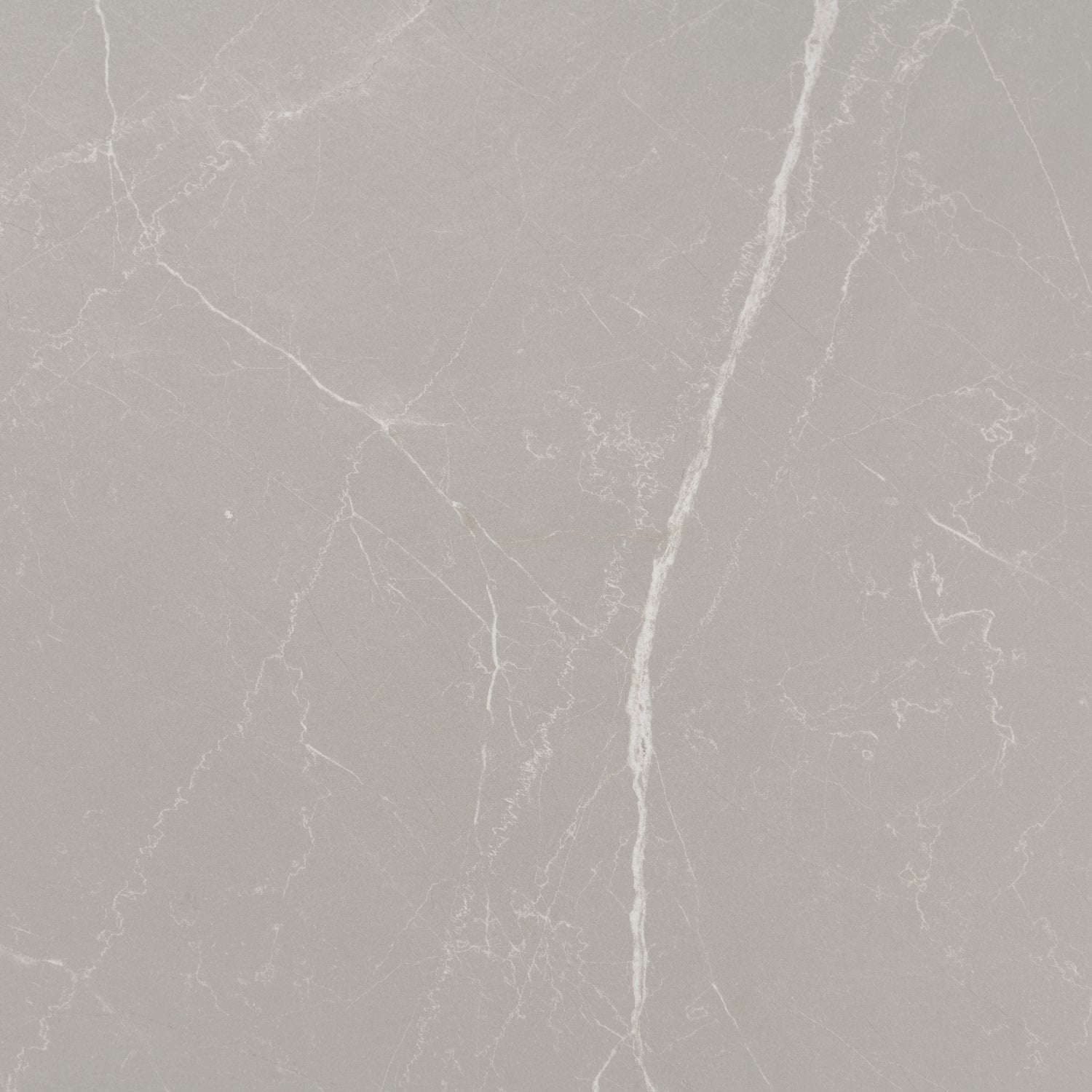 Ash Gray 24x48 Matte Porcelain Large Tile (15.5 sq ft/case, 2-Pack)