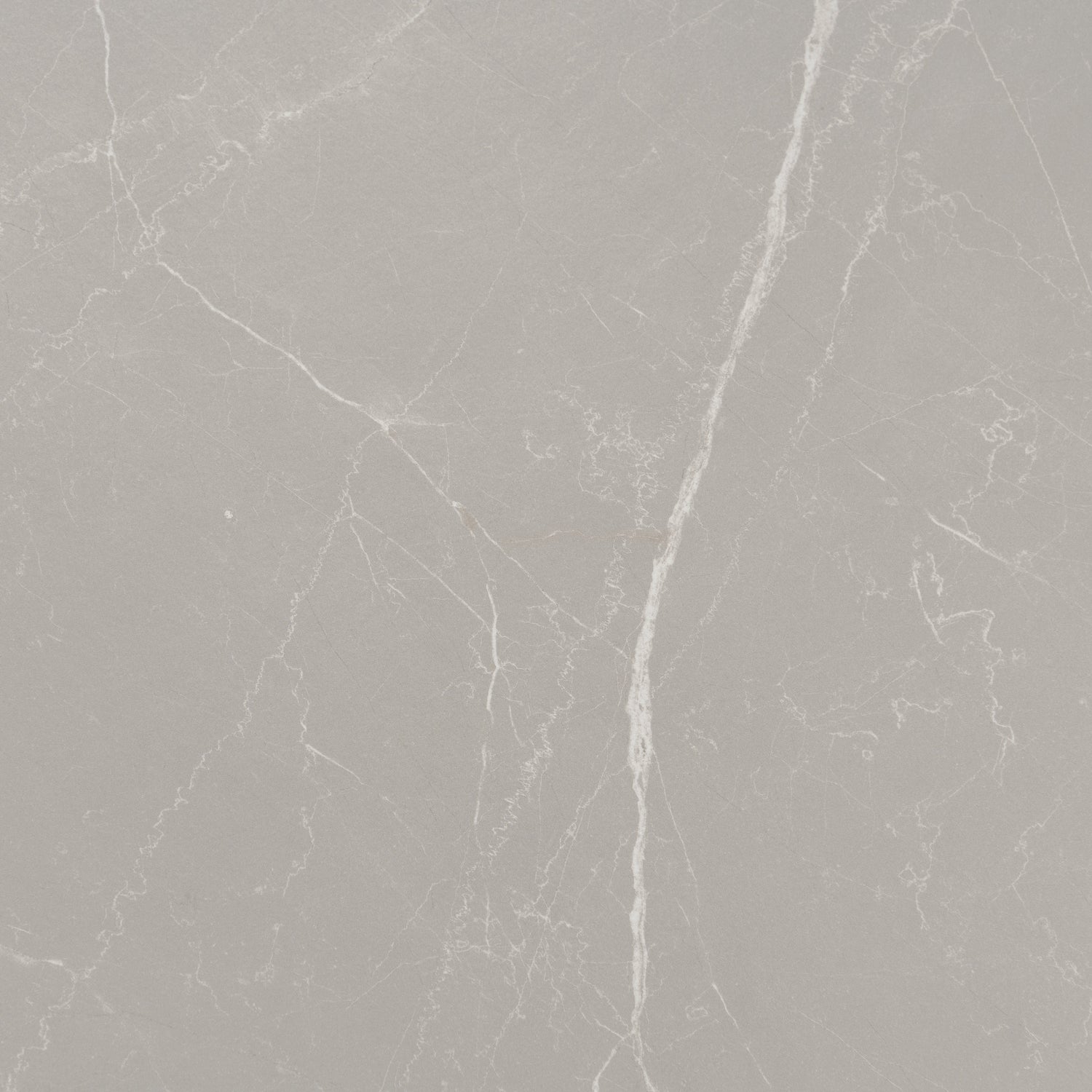 Sample - Ash Gray 24x48 Matte Porcelain Large Tile (15.5 sq ft/case, 2-Pack)