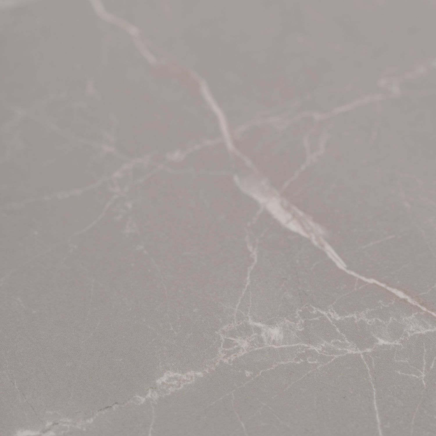 Sample - Ash Gray 24x48 Matte Porcelain Large Tile (15.5 sq ft/case, 2-Pack)