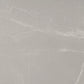 Sample - Ash Gray 24x48 Matte Porcelain Large Tile (15.5 sq ft/case, 2-Pack)
