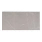 Ash Gray 24x48 Matte Porcelain Large Tile (15.5 sq ft/case, 2-Pack)