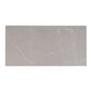 Sample - Ash Gray 24x48 Matte Porcelain Large Tile (15.5 sq ft/case, 2-Pack)