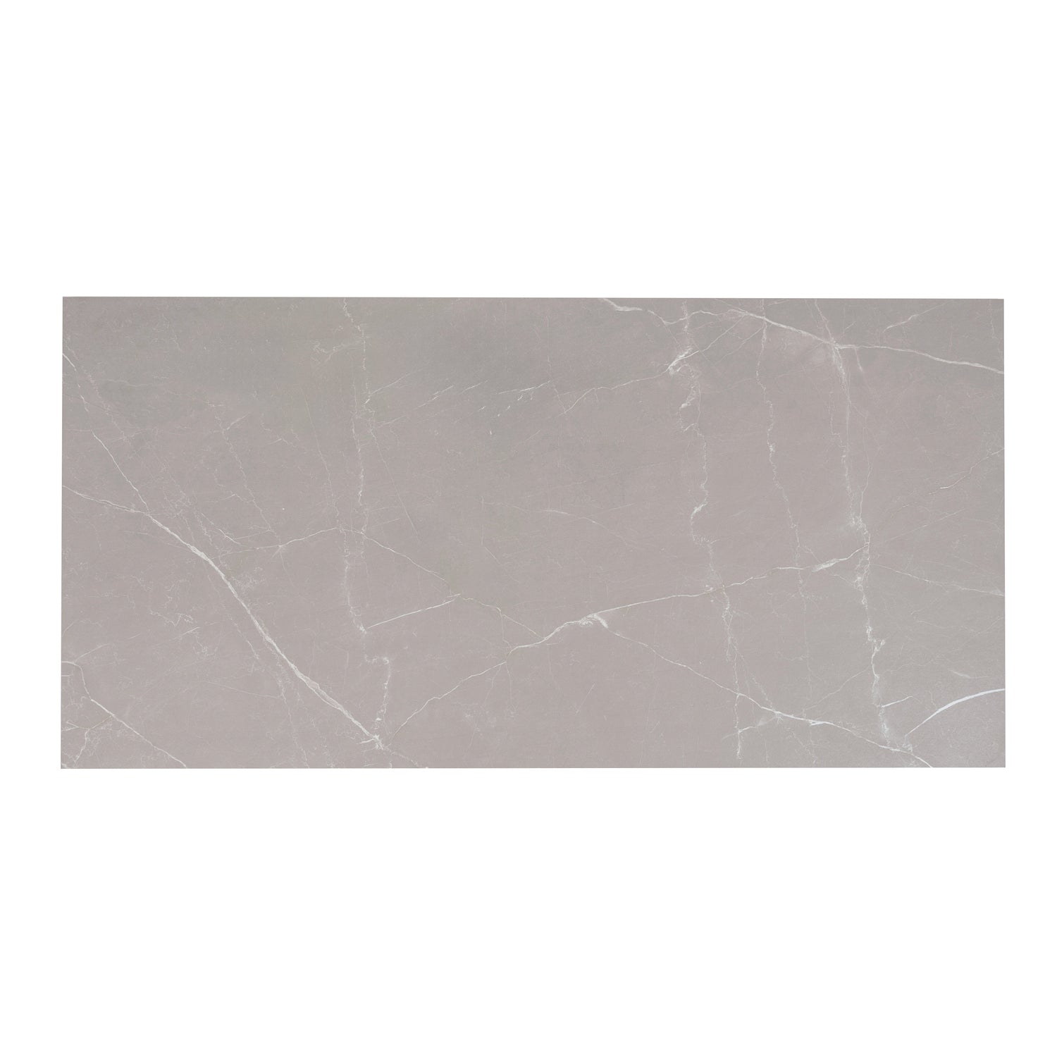 Sample - Ash Gray 24x48 Matte Porcelain Large Tile (15.5 sq ft/case, 2-Pack)