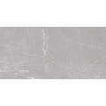 ash gray 24x48 matte porcelain large tile with subtle white veining, 15.5 sq ft per case 2-pack