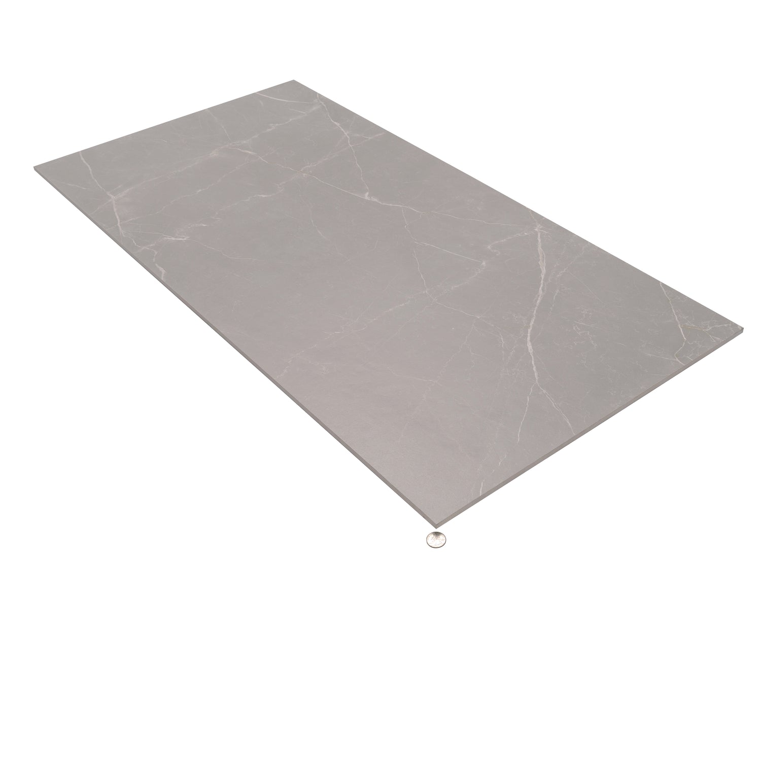 Ash Gray 24x48 Matte Porcelain Large Tile (15.5 sq ft/case, 2-Pack)