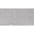Sample - Ash Gray 24x48 Matte Porcelain Large Tile (15.5 sq ft/case, 2-Pack)
