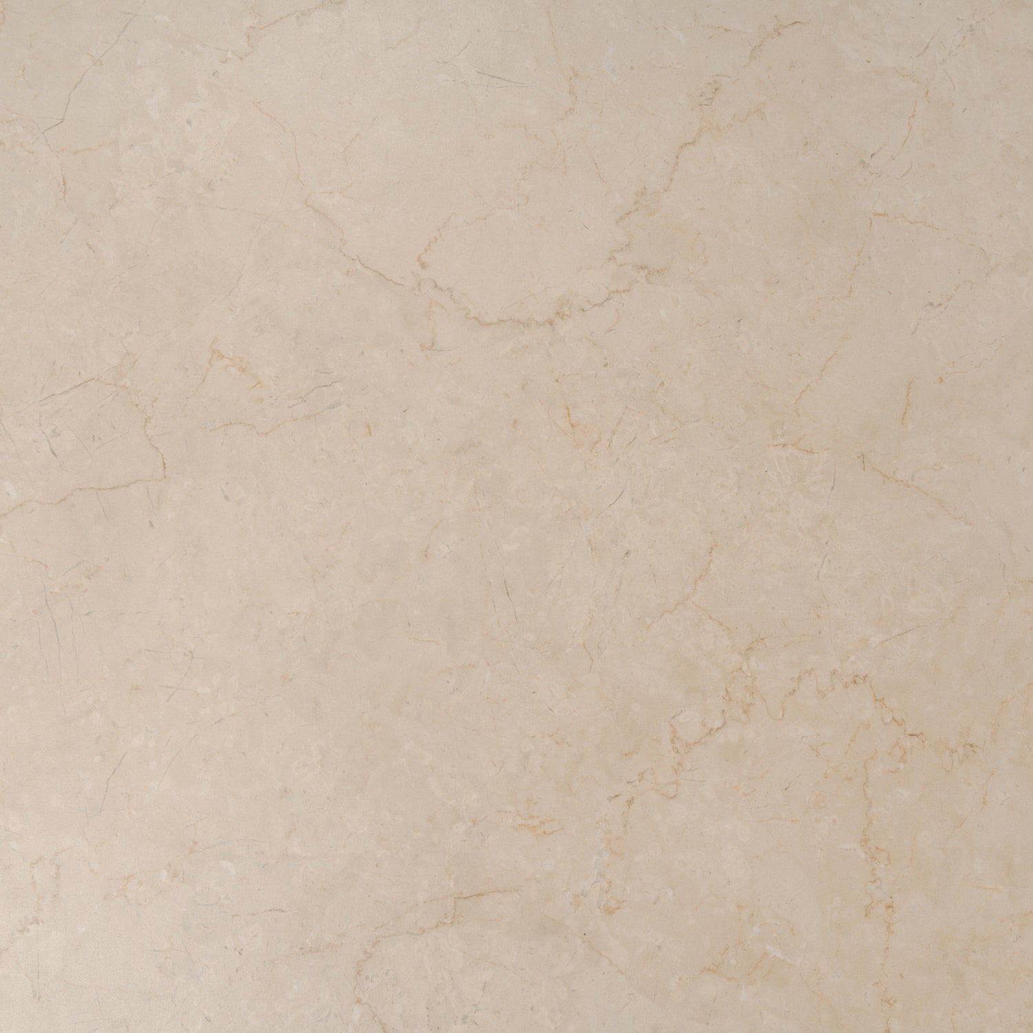 Crema Beige 24x48 Matte Porcelain Large Tile (15.5 sq ft/case, 2-Pack)