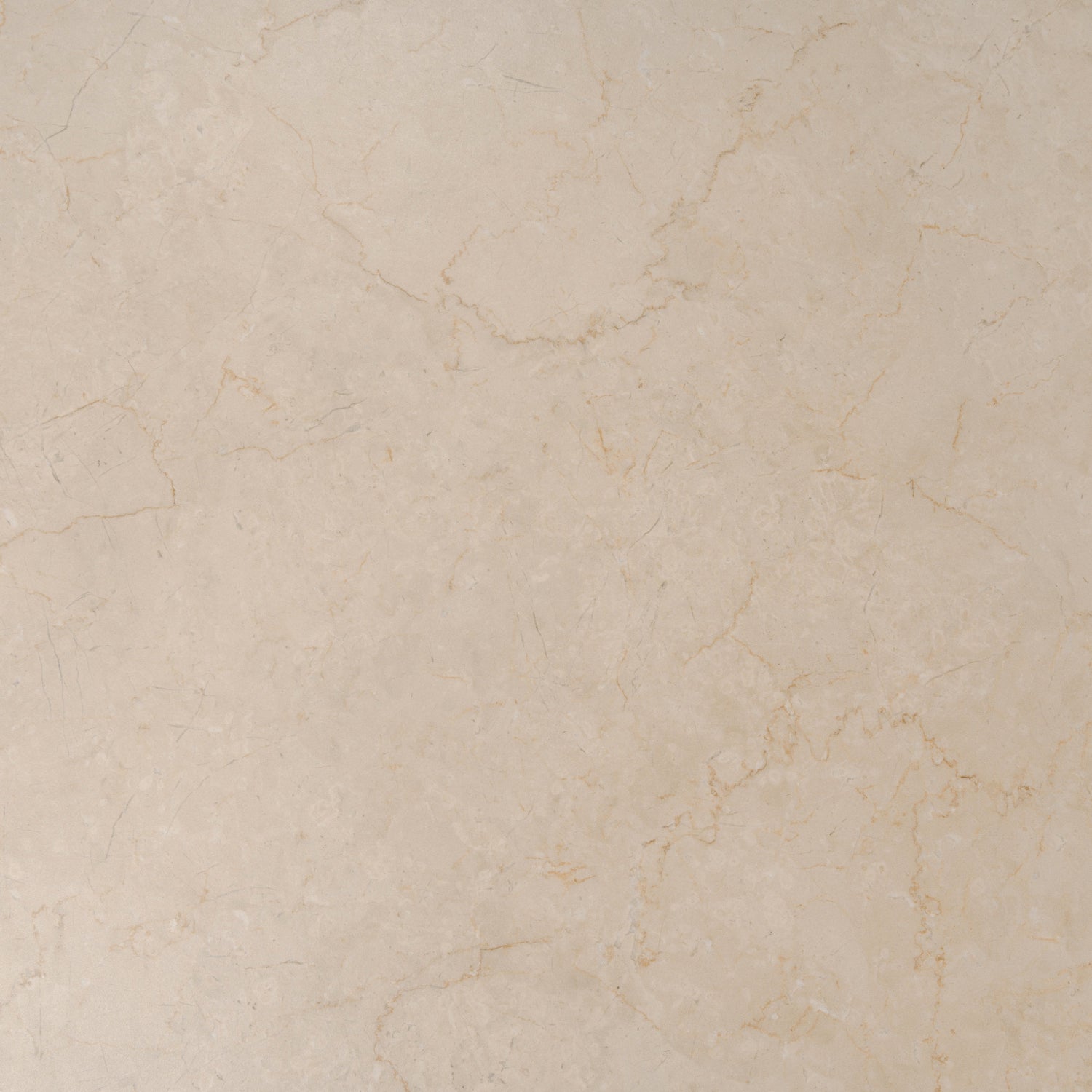 Sample - Crema Beige 24x48 Matte Porcelain Large Tile (15.5 sq ft/case, 2-Pack)