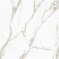 Ivory White 24x24 Matte Color Body Porcelain Large Tile (15.5 sq ft/case, 4-Pack)