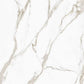 Ivory White 24x24 Matte Color Body Porcelain Large Tile (15.5 sq ft/case, 4-Pack) - Sample