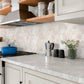 Light beige polished Crema Marfil marble hexagon mosaic tile backsplash with natural stone texture