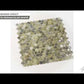 Beige 12x12 Glossy Penny Round Glass Mosaic Tile (10 pack, 10.34 sq ft/case) - Sample