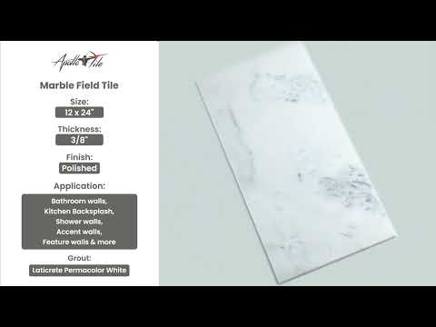 Grandis White 12 in. x 24 in. Polished Calacatta Gold Marble Field Wall and Floor Tile (5 Cases, 50 sq ft/Pallet)