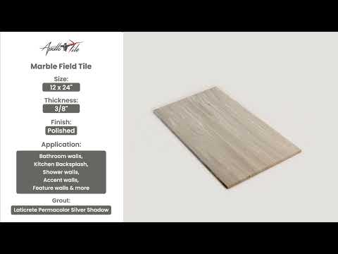 Fossil Gray 12x24 Polished Field Marble Tile (5 pack, 10 sq ft/case) - Sample