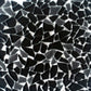 12x12 Black Pebble Polished Tile